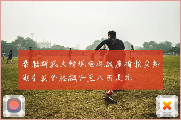 泰勒斯威夫特现场观战座椅拍卖热潮引发价格飙升至八百美元