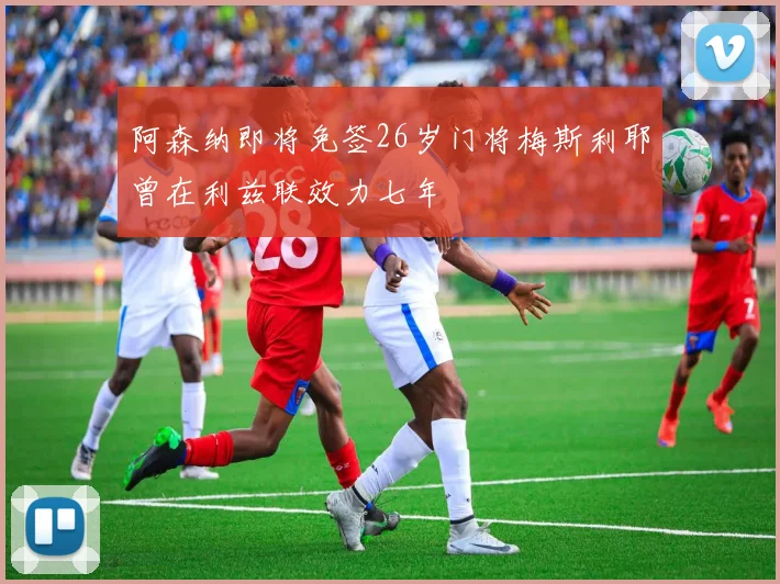 阿森纳即将免签26岁门将梅斯利耶曾在利兹联效力七年